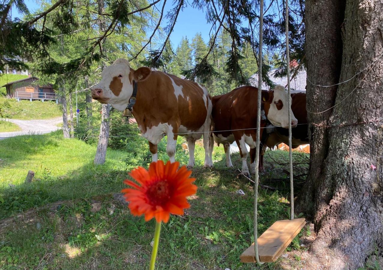 Gemuetliche Huette In Den Bergen Sonnenalpe Nassfeld