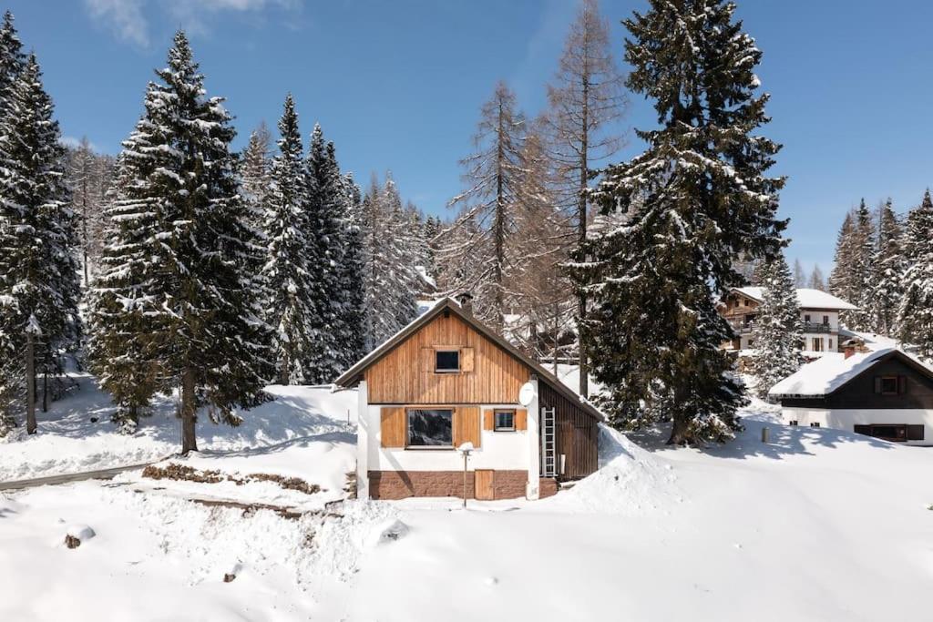Gemuetliche Huette In Den Bergen Sonnenalpe Nassfeld