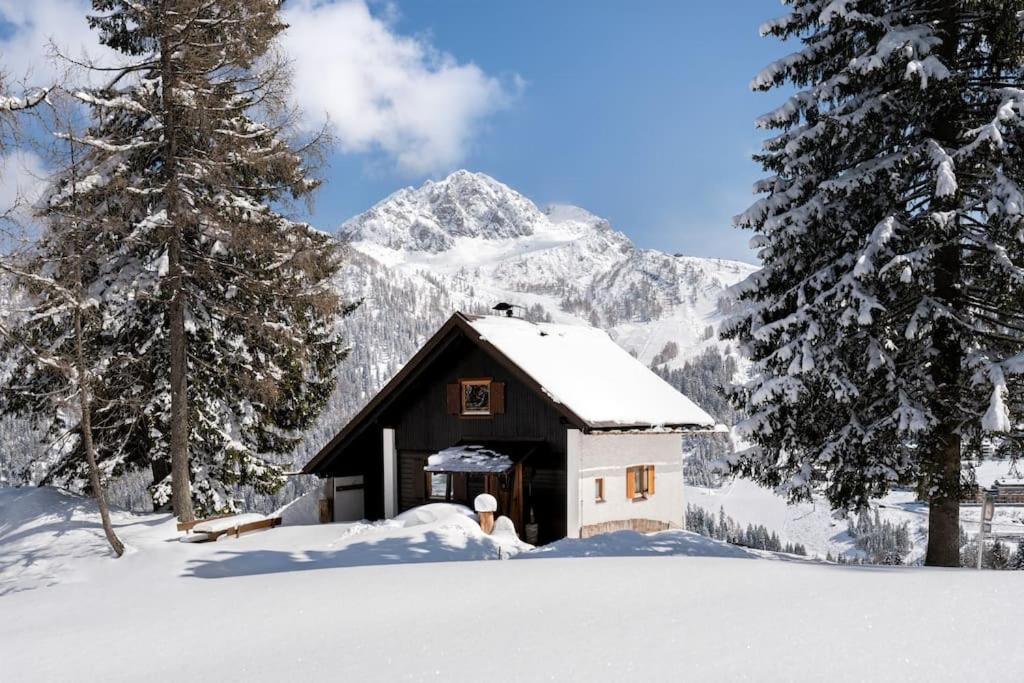 Gemuetliche Huette In Den Bergen * Sonnenalpe Nassfeld